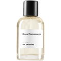 Rosa Damascena by De Antoine