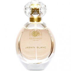 Jasmin Blanc von Clubman / Edouard Pinaud