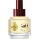 Cedrus Ascent by Pañpuri