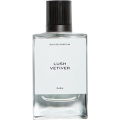 Lush Vetiver by Zara