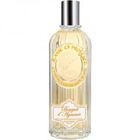 Bouquet d'Agrumes - Fleur de Mandarine & Cédrat von Jeanne en Provence