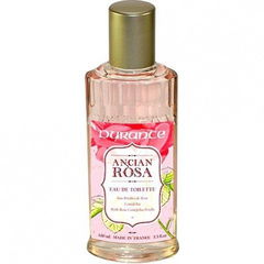 Ancian Rosa von Durance en Provence