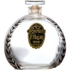 Oryambre von F. Millot