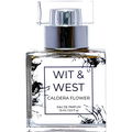 Caldera Flower von Wit & West
