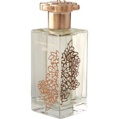 Odette von Anthropologie