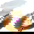 Nishiki / 錦 (Parfum)