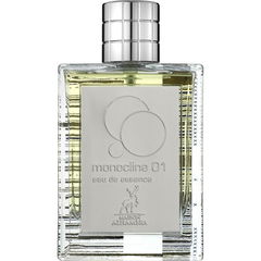 Monocline 01 by Maison Alhambra