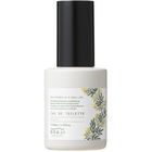 Mimosa (2022) / ミモザ von Osaji