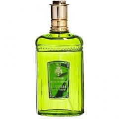 La Superba - Bouganvillea by Acqua di Genova