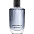 Night Attitude by Springfield