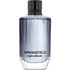Night Attitude by Springfield