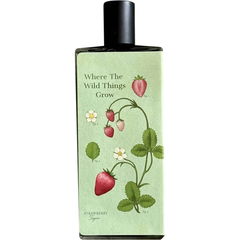 Where the Wild Things Grow - Version II (Eau de Parfum) von Sorce / Sorcellerie Apothecary