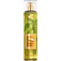 Waikiki Beach Coconut (Fragrance Mist) von Bath & Body Works