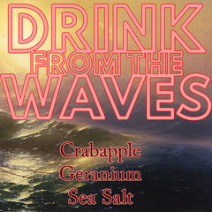 Drink From The Waves by Stone & Wit