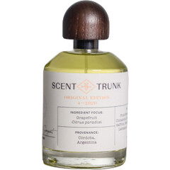 Grapefruit / April 2020 von Scent Trunk