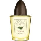 Acqua Di Pino Cologne by Pino Silvestre