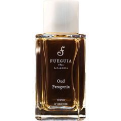 Oud Patagonia von Fueguia 1833