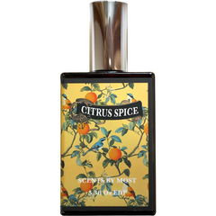 Citrus Spice von Scents by MOST