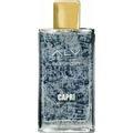 ALV Passport - Capri by Alviero Martini