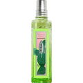 Verveine Cactus von L'Occitane en Provence