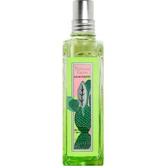 Verveine Cactus von L'Occitane en Provence