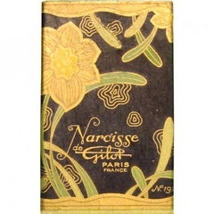 Narcisse von Gilot