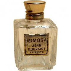 Mimosa by Jean Bouvaist