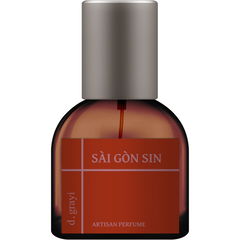 Sài Gòn Sin by D. Grayi