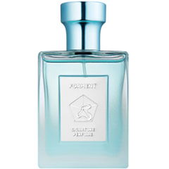 Cotton Bath (Perfume) / 코튼 배쓰 von Forment