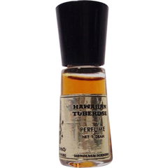 Hawaiian Tuberose by Liana of Waikiki
