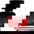 Vermillion Promise