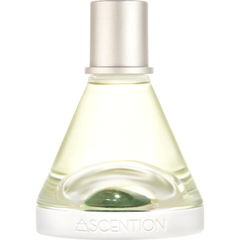Ascent to Prosperity by Ascention