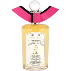 Night Scented Stock