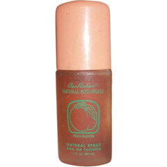 Natural Botanicals - Peach Blossom by Ben Rickert