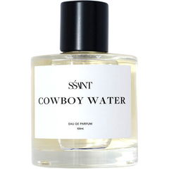 Cowboy Water by Sśaint