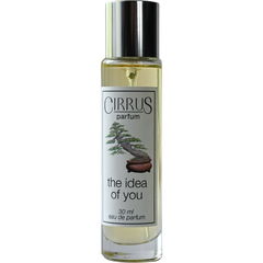 The Idea of You by Cirrus Parfum