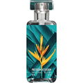 Pretiosum Vetiverum von The Dua Brand / Dua Fragrances