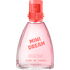 Mini Dream