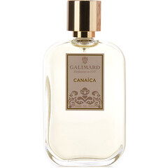 Rituel by St. Rose