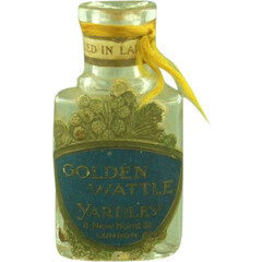 Golden Wattle von Yardley
