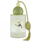 Citron / La Coquette by La Bouquetière