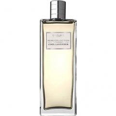 Men's Collection - Cool Lavender by Oriflame