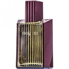 Bozzini Men (Eau de Toilette) von Bozzini