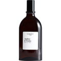 Ambre & Tonka / Chap. 3 - Ambre & Tonka by 100BON