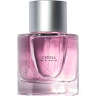 L'Hôtel von Recreation