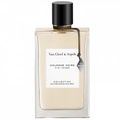 Cologne Noire by Van Cleef & Arpels