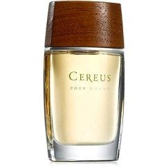 Pour Homme N° 7 by Cereus