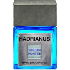 Tiberis Pontes - Hadrianus von Mauro Lorenzi