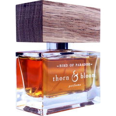 Bird of Paradise by Thorn & Bloom