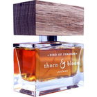 Bird of Paradise by Thorn & Bloom